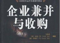 公司收購公司